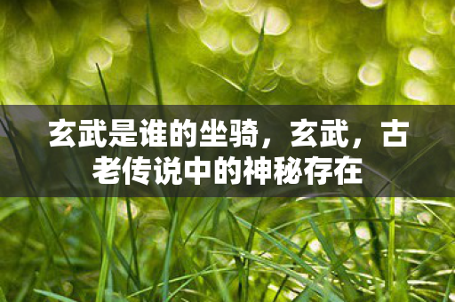 玄武是谁的坐骑，玄武，古老传说中的神秘存在