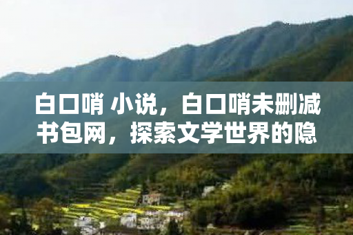 白口哨 小说，白口哨未删减书包网，探索文学世界的隐秘角落