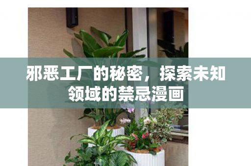 邪恶工厂的秘密，探索未知领域的禁忌漫画