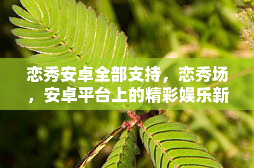 恋秀安卓全部支持，恋秀场，安卓平台上的精彩娱乐新选择