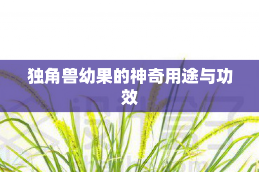 独角兽幼果的神奇用途与功效