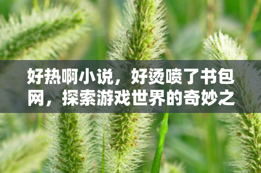 好热啊小说，好烫喷了书包网，探索游戏世界的奇妙之旅