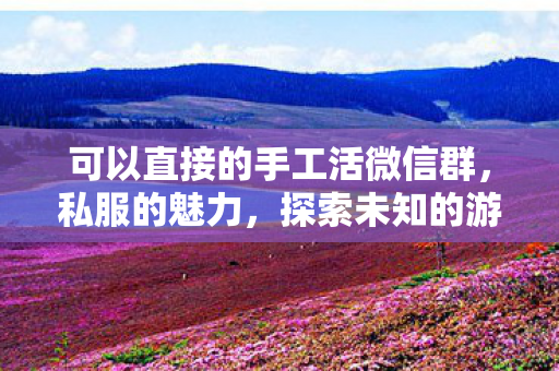 可以直接的手工活微信群，私服的魅力，探索未知的游戏世界