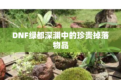 DNF绿都深渊中的珍贵掉落物品 DNF绿都深渊中的珍贵掉落物品