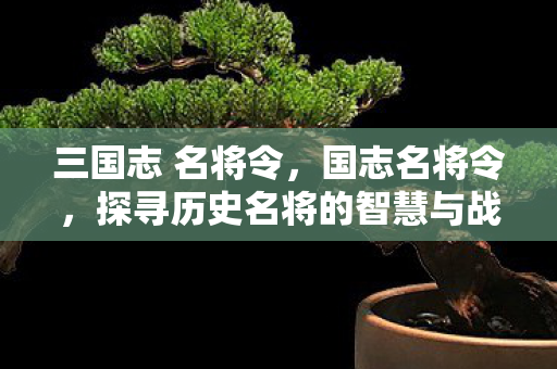 三国志 名将令，国志名将令，探寻历史名将的智慧与战略