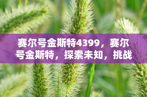 赛尔号金斯特4399，赛尔号金斯特，探索未知，挑战极限的奇幻之旅