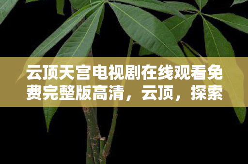 云顶天宫电视剧在线观看免费完整版高清，云顶，探索策略与运气交织的奇妙世界