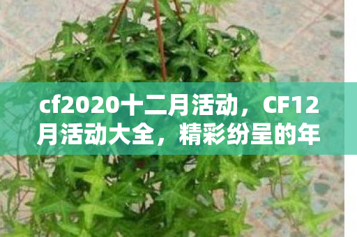cf2020十二月活动，CF12月活动大全，精彩纷呈的年末盛宴