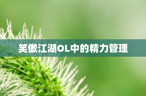 笑傲江湖OL中的精力管理