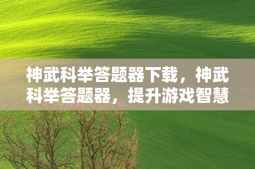 神武科举答题器下载，神武科举答题器，提升游戏智慧的利器