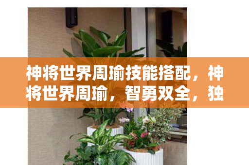 神将世界周瑜技能搭配，神将世界周瑜，智勇双全，独步天下的传奇将领