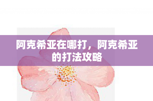 阿克希亚在哪打，阿克希亚的打法攻略