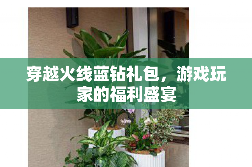 穿越火线蓝钻礼包，游戏玩家的福利盛宴