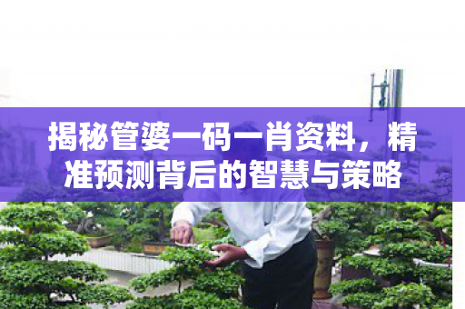揭秘管婆一码一肖资料，精准预测背后的智慧与策略