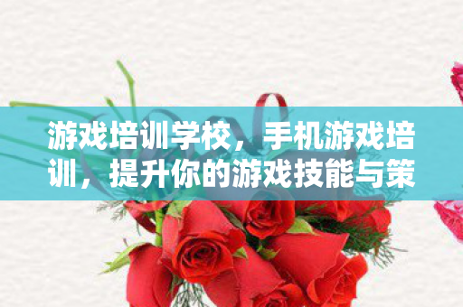 游戏培训学校，手机游戏培训，提升你的游戏技能与策略