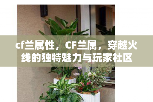 cf兰属性，CF兰属，穿越火线的独特魅力与玩家社区