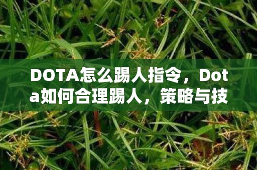 DOTA怎么踢人指令，Dota如何合理踢人，策略与技巧