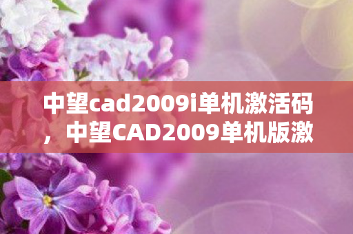 中望cad2009i单机激活码，中望CAD2009单机版激活码，合法授权与高效应用的探索