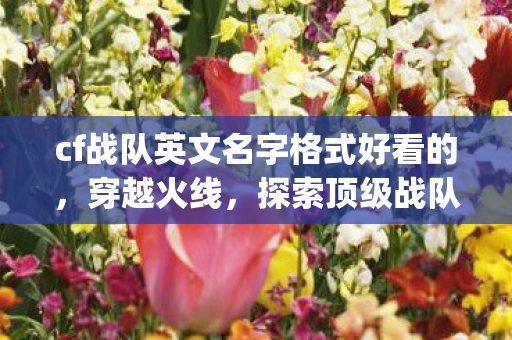 cf战队英文名字格式好看的，穿越火线，探索顶级战队ShadowReapers的荣耀与战术