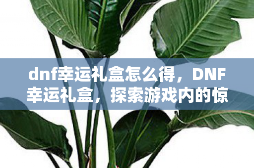 dnf幸运礼盒怎么得，DNF幸运礼盒，探索游戏内的惊喜与机遇