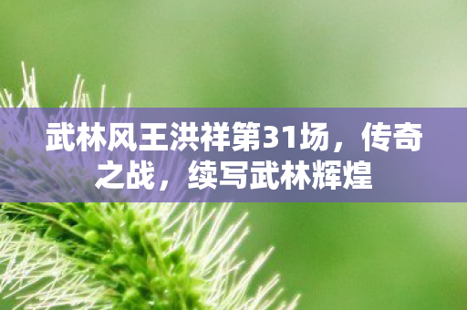 武林风王洪祥第31场，传奇之战，续写武林辉煌