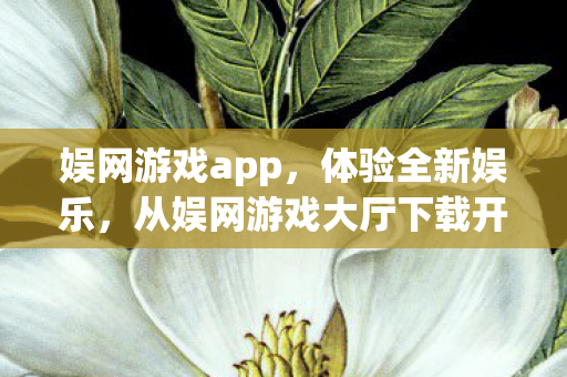 娱网游戏app，体验全新娱乐，从娱网游戏大厅下载开始