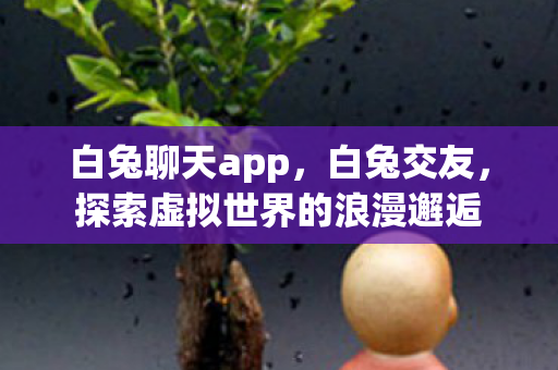 白兔聊天app，白兔交友，探索虚拟世界的浪漫邂逅