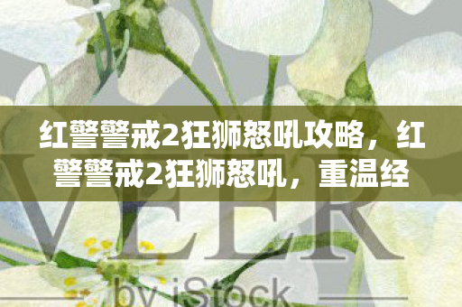 红警警戒2狂狮怒吼攻略，红警警戒2狂狮怒吼，重温经典战役，感受策略魅力