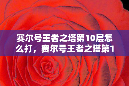 赛尔号王者之塔第10层怎么打，赛尔号王者之塔第10层，挑战与策略的深度解析