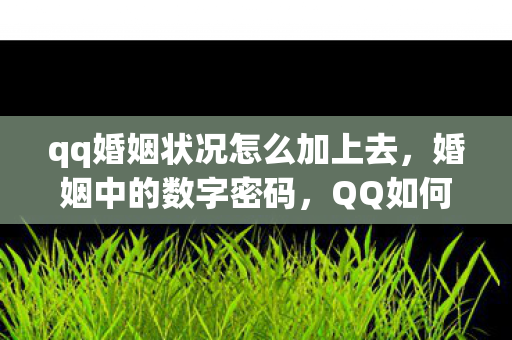 qq婚姻状况怎么加上去，婚姻中的数字密码，QQ如何成为情感沟通的桥梁