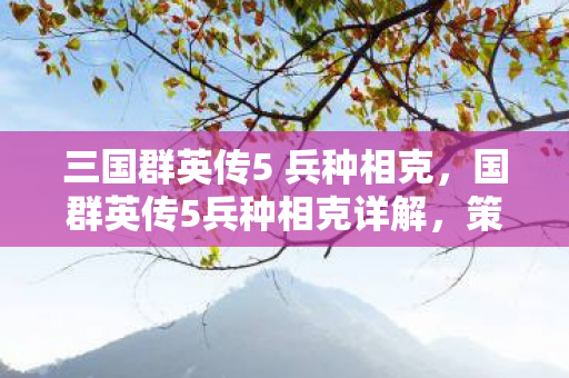 三国群英传5 兵种相克，国群英传5兵种相克详解，策略与智慧的碰撞