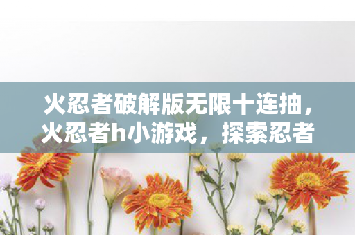 火忍者破解版无限十连抽，火忍者h小游戏，探索忍者世界的奇妙冒险