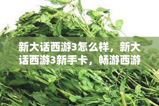 新大话西游3怎么样，新大话西游3新手卡，畅游西游世界的必备神器