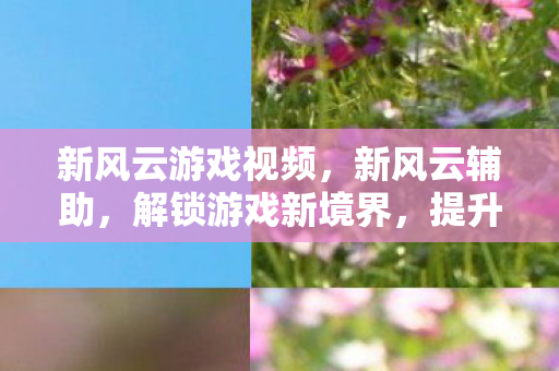 新风云游戏视频，新风云辅助，解锁游戏新境界，提升体验新高度