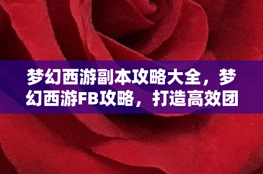 梦幻西游副本攻略大全，梦幻西游FB攻略，打造高效团队，征服挑战副本