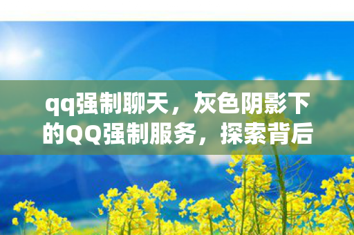 qq强制聊天，灰色阴影下的QQ强制服务，探索背后的秘密