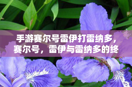 手游赛尔号雷伊打雷纳多，赛尔号，雷伊与雷纳多的终极对决