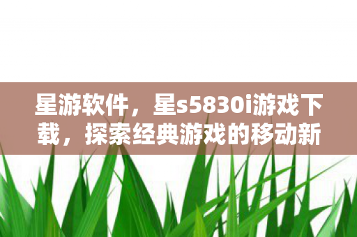 星游软件，星s5830i游戏下载，探索经典游戏的移动新体验