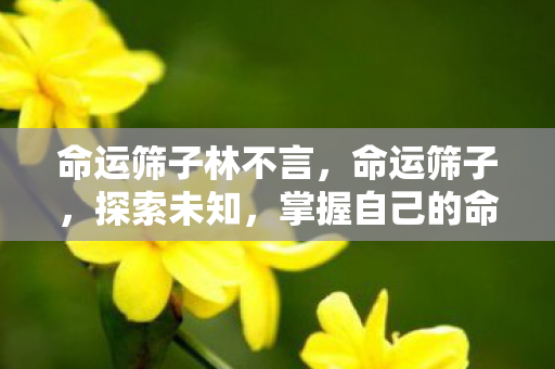 命运筛子林不言，命运筛子，探索未知，掌握自己的命运