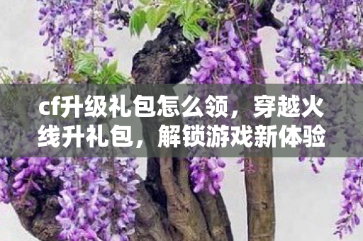 cf升级礼包怎么领，穿越火线升礼包，解锁游戏新体验，提升战斗实力