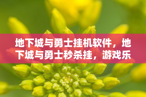 地下城与勇士挂机软件，地下城与勇士秒杀挂，游戏乐趣与规则的边界