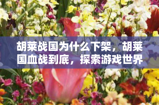 胡莱战国为什么下架,胡莱国血战到底,探索游戏世界的无限可能 胡莱战国为什么下架,胡莱国血战到底,探索游戏世界的无限可能