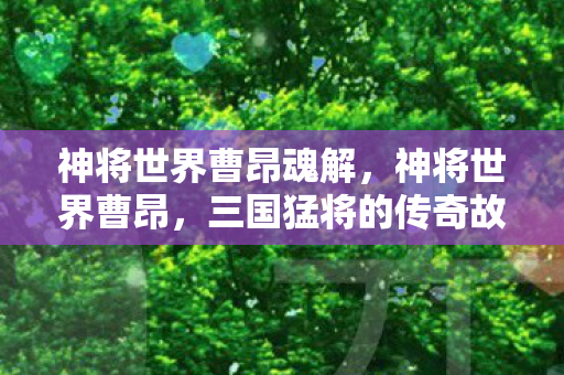 神将世界曹昂魂解，神将世界曹昂，三国猛将的传奇故事