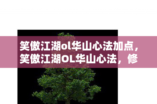 笑傲江湖ol华山心法加点，笑傲江湖OL华山心法，修炼之路与实战应用