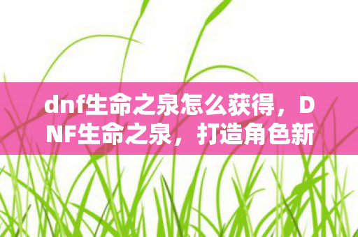 dnf生命之泉怎么获得，DNF生命之泉，打造角色新生命的神秘泉水