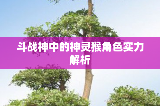 斗战神中的神灵猴角色实力解析 斗战神中的神灵猴角色实力解析