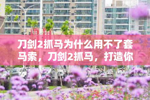 刀剑2抓马为什么用不了套马索，刀剑2抓马，打造你的专属战马，驰骋江湖