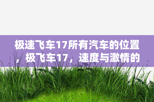 极速飞车17所有汽车的位置，极飞车17，速度与激情的极致演绎