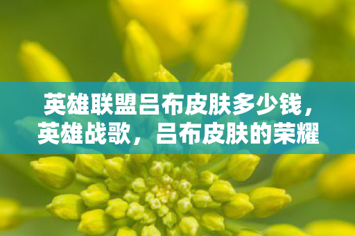 英雄联盟吕布皮肤多少钱，英雄战歌，吕布皮肤的荣耀与传奇