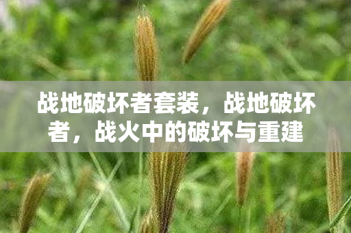 战地破坏者套装，战地破坏者，战火中的破坏与重建